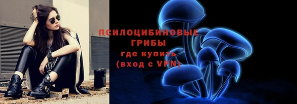 мет Лагань