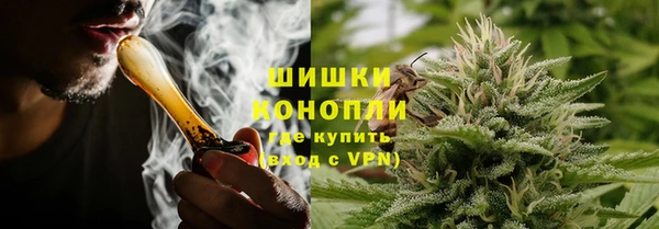 стафф Кущёвская